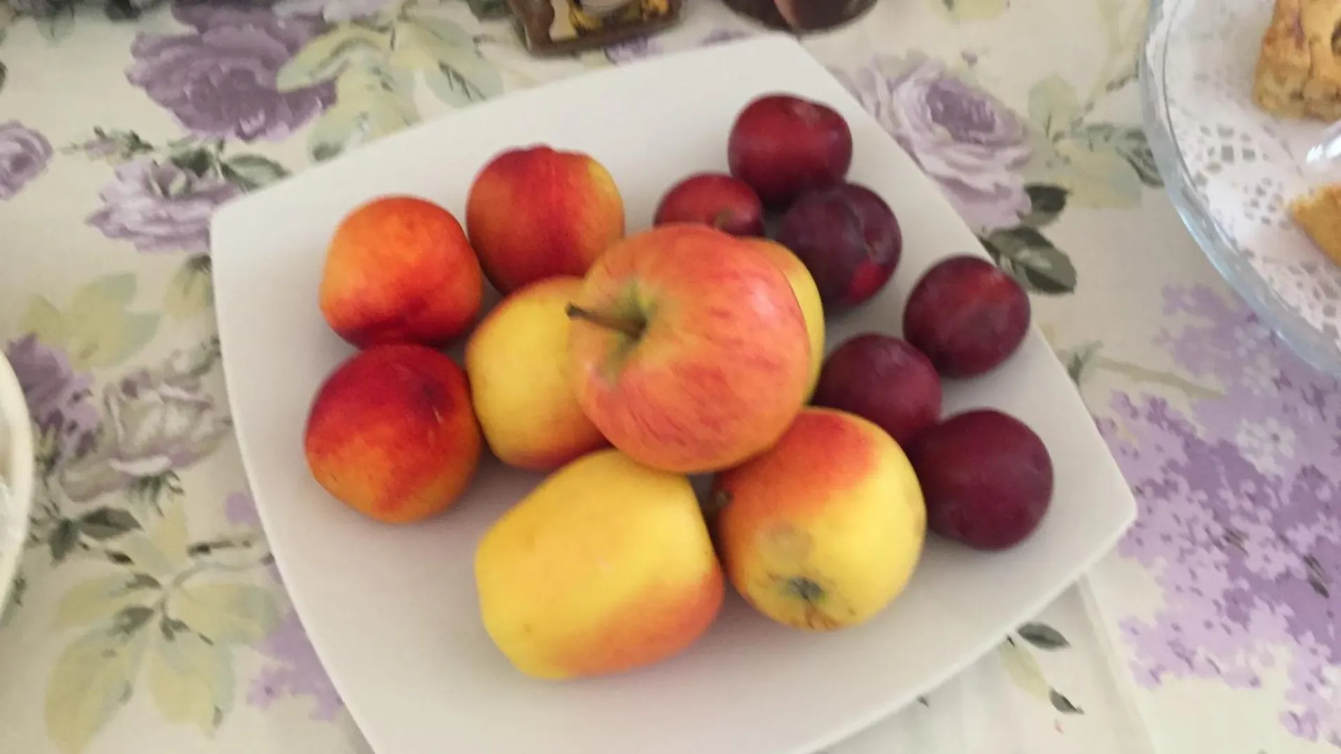 B&B Happiness In The Country Brescello Bed & Breakfast